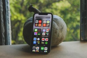 A smartphone displaying various app icons stands beside a pumpkin by a window with a green outdoor view.